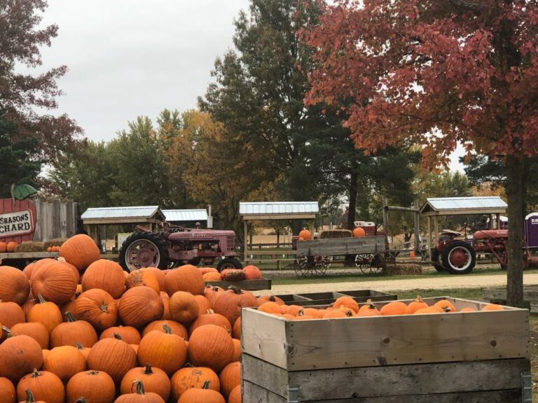 Treasure the delights of autumn in the Midwest [PHOTO ESSAY] - Luxe ...
