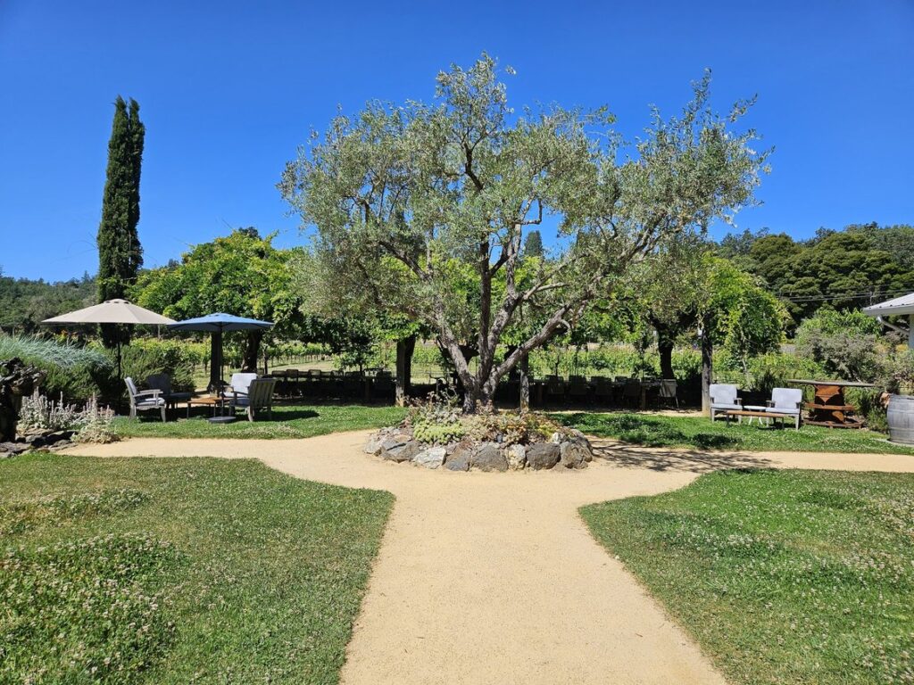 The grounds at DaVero Farms