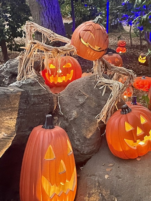 Descanso Gardens: A Fall Pumpkin Wonderland - Luxe Beat Magazine